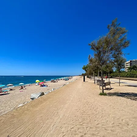 Beachfront Gateway In Appartement *